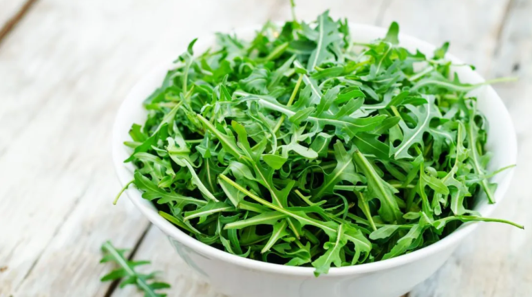 루꼴라 rocket과 arugula 단어 비교 이미지